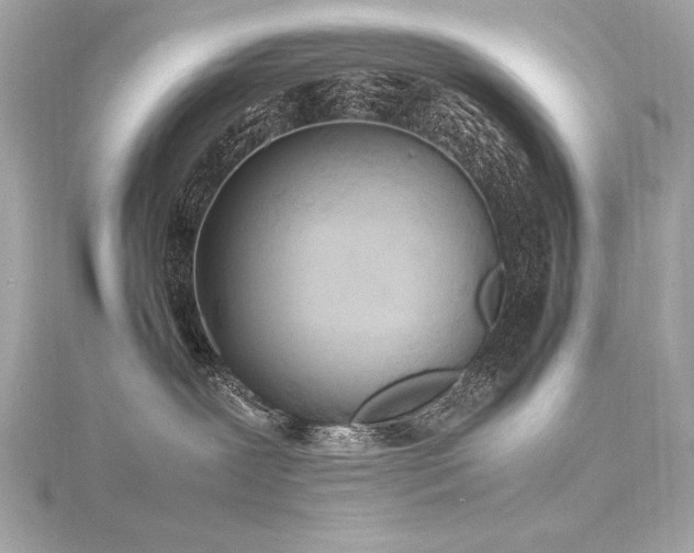 X0000116350239200912011417