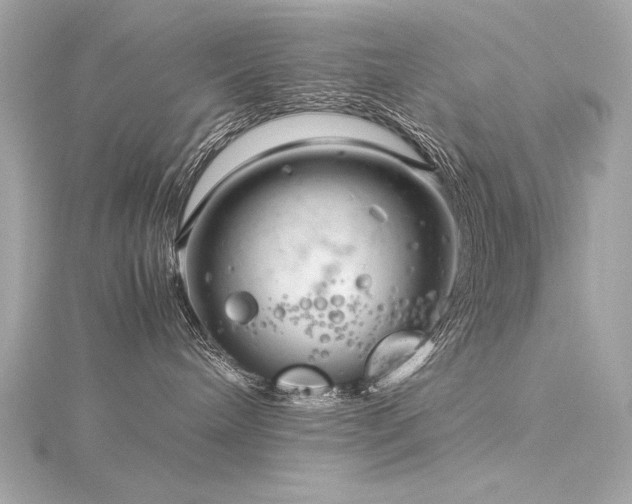 X0000116350240200912011417