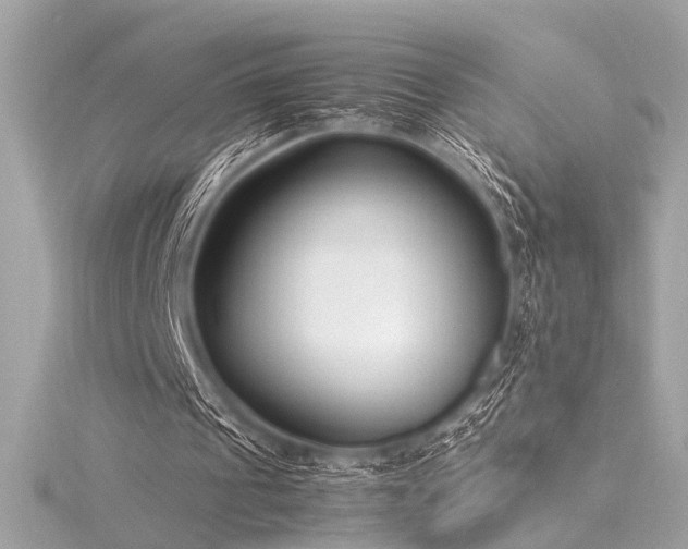 X0000116350241200912011416