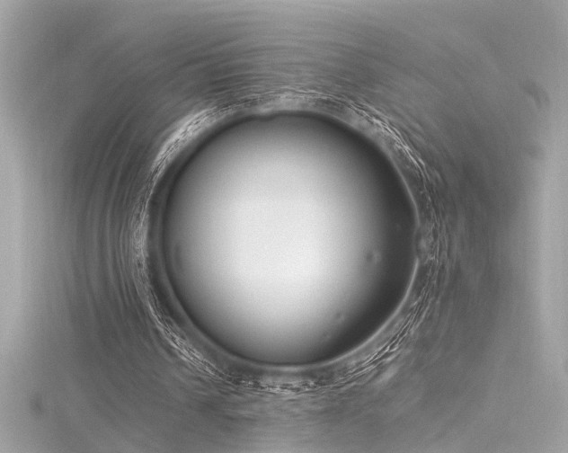 X0000116350242200912011416