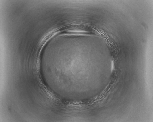 X0000116350243200912011416