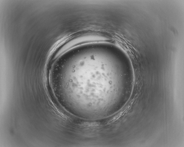 X0000116350245200912011416