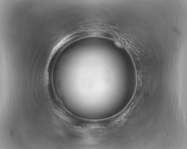 X0000116350246200912011416