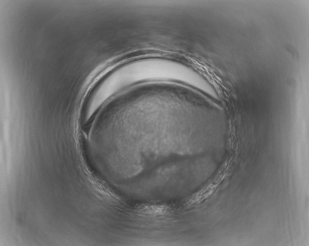 X0000116350247200912011416