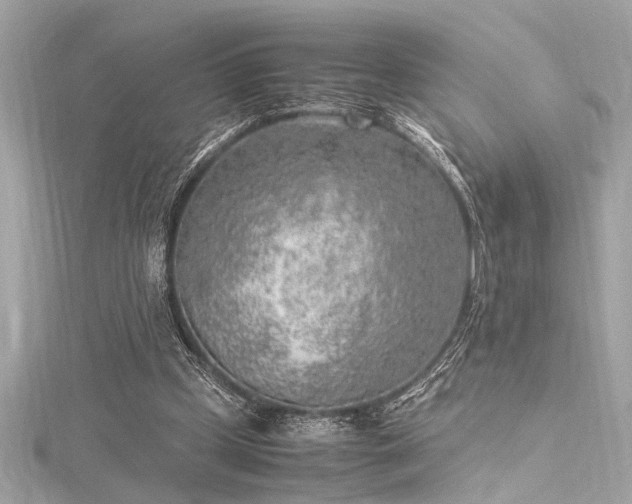 X0000116350249200912011416