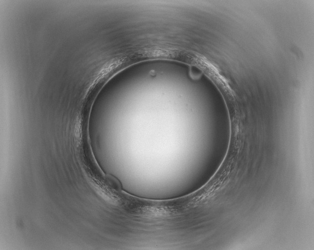 X0000116350250200912011416