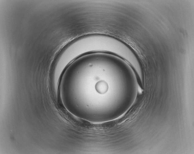 X0000116350252200912011416