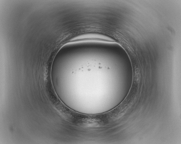 X0000116350255200912011416