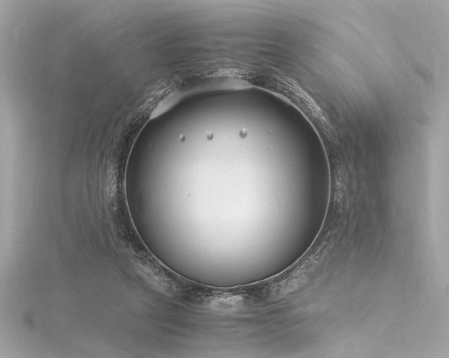 X0000116350257200912011416