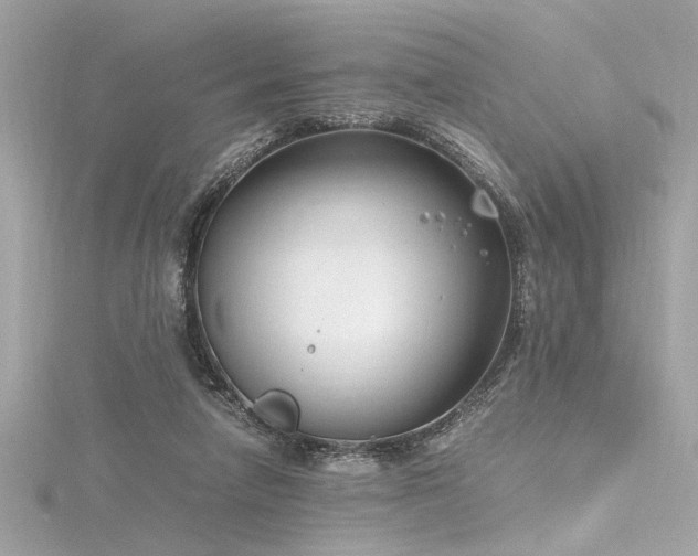 X0000116350258200912011416