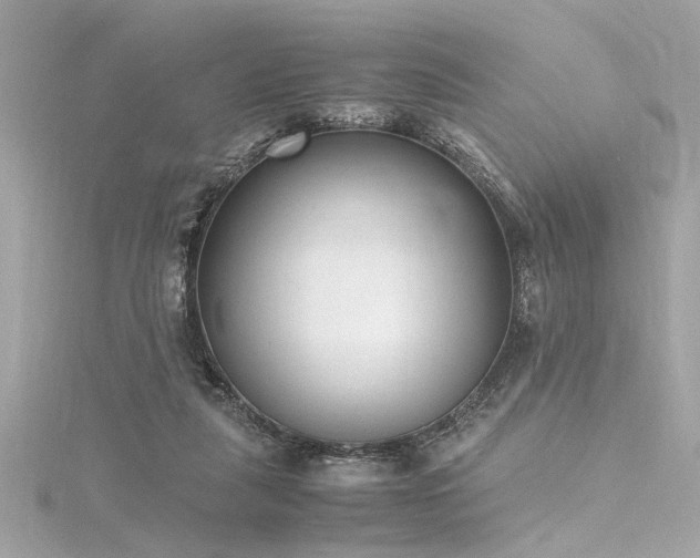 X0000116350259200912011416