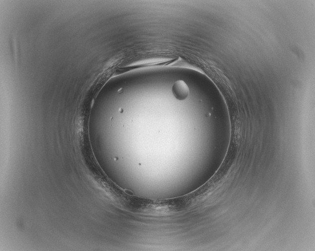 X0000116350260200912011416