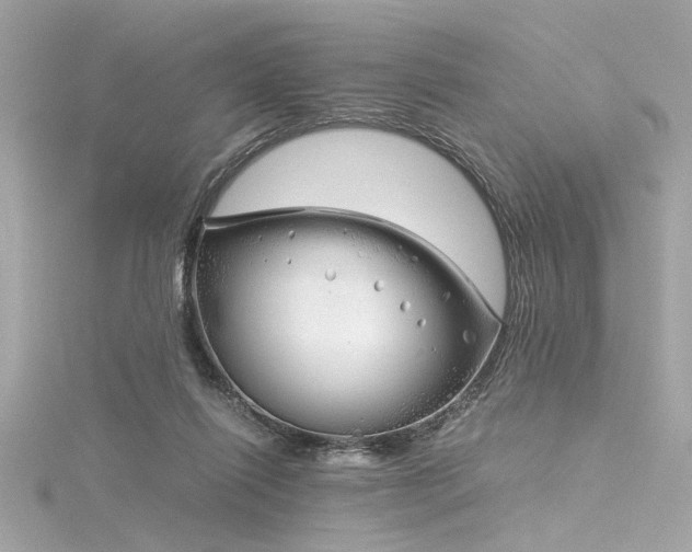 X0000116350262200912011416