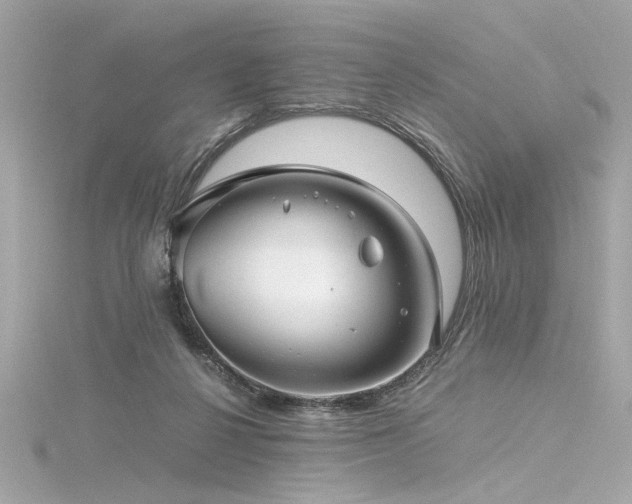 X0000116350264200912011416