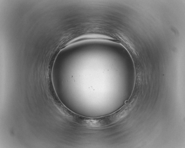 X0000116350265200912011416