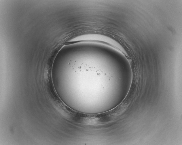 X0000116350266200912011416