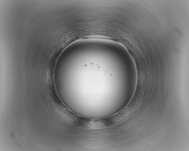 X0000116350270200912011416