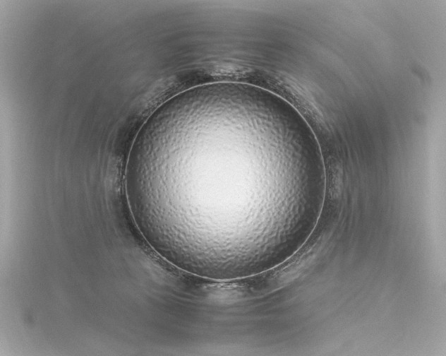 X0000116350273200912011416