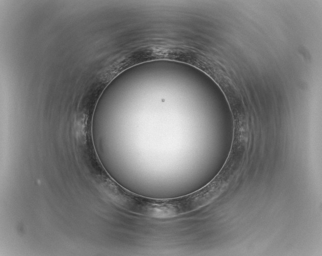 X0000116350275200912011416