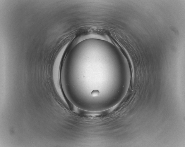 X0000116350276200912011416