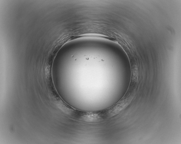 X0000116350278200912011416