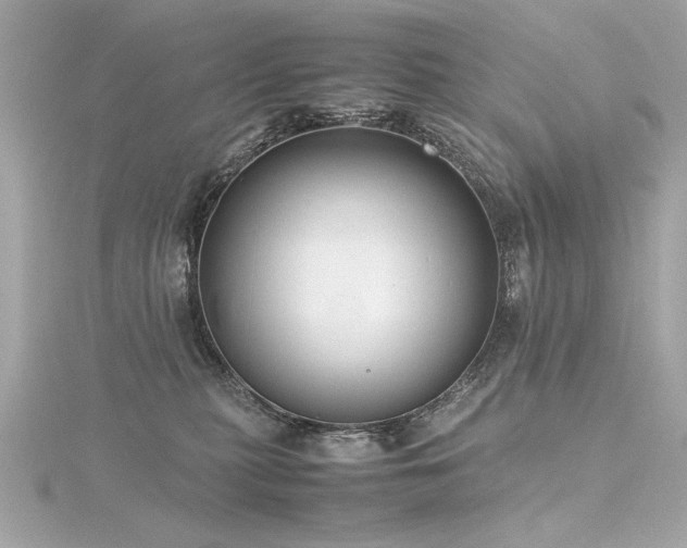 X0000116350279200912011416