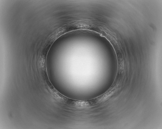 X0000116350281200912011416