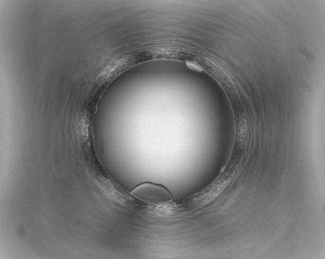 X0000116350282200912011416