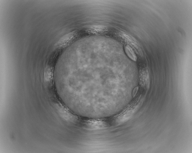 X0000116350284200912011417