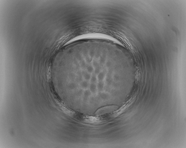 X0000116350285200912011417