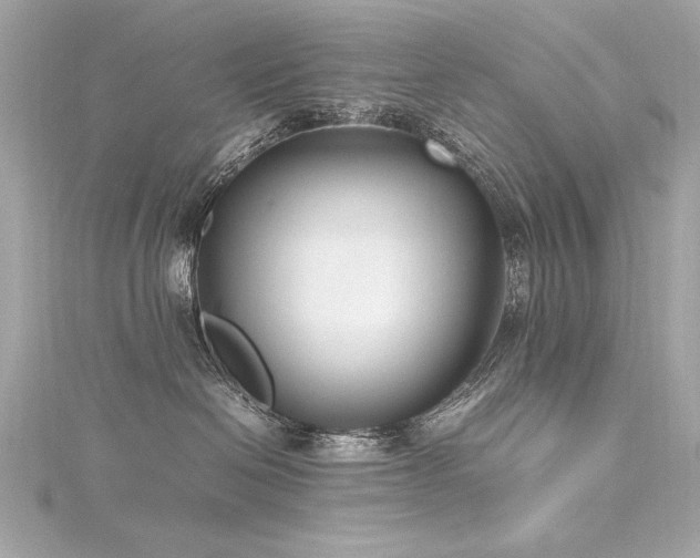 X0000116350286200912011417