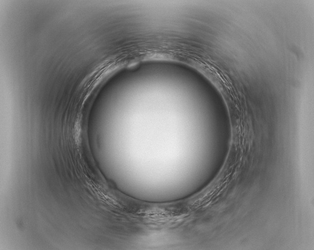 X0000116350290200912011416