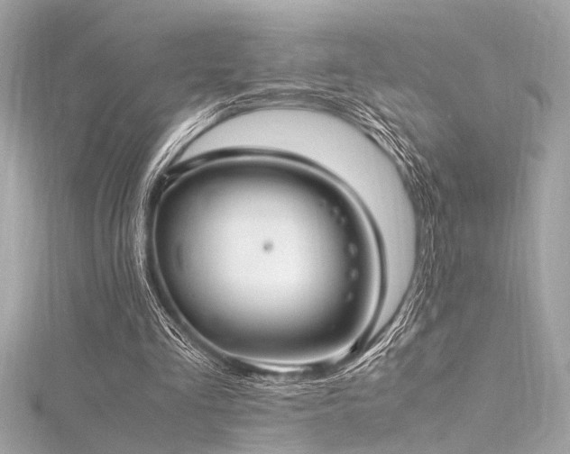 X0000116350293200912011416