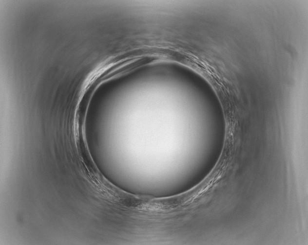 X0000116350294200912011416