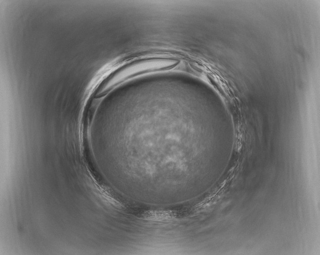 X0000116350296200912011416