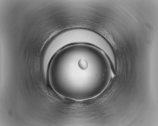 X0000116350300200912011416