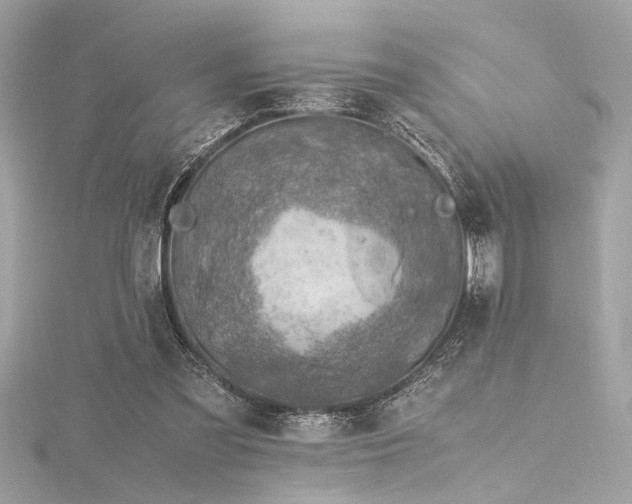 X0000116350301200912011416