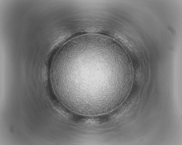 X0000116350303200912011416