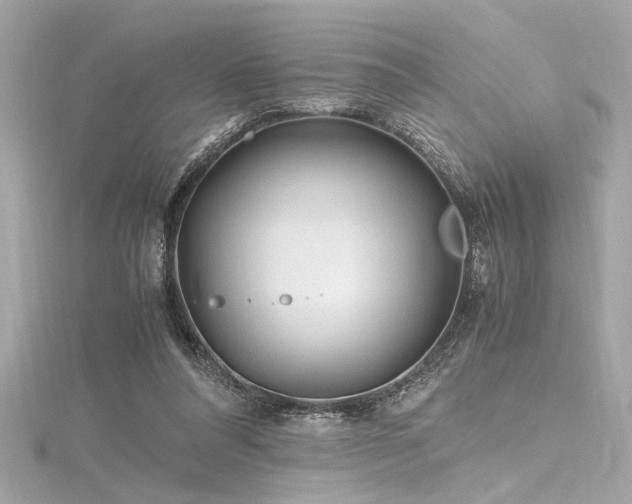 X0000116350304200912011416