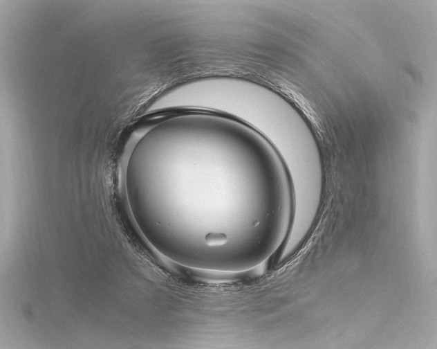 X0000116350305200912011416