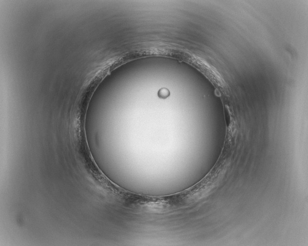 X0000116350306200912011416