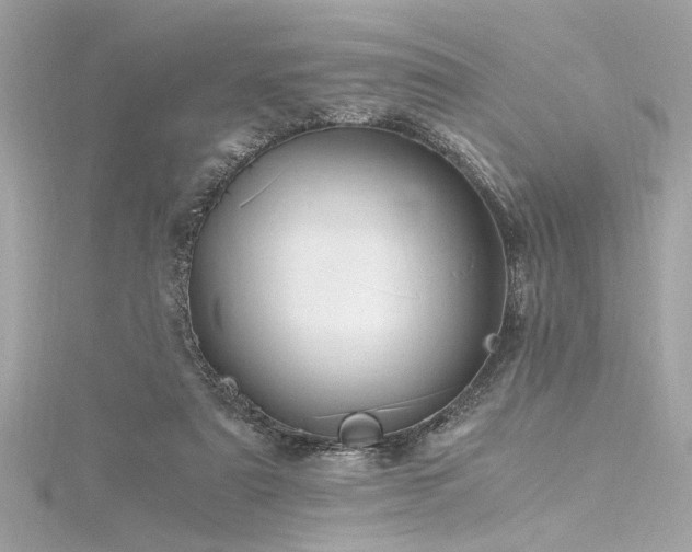 X0000116350307200912011416