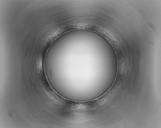 X0000116350310200912011416