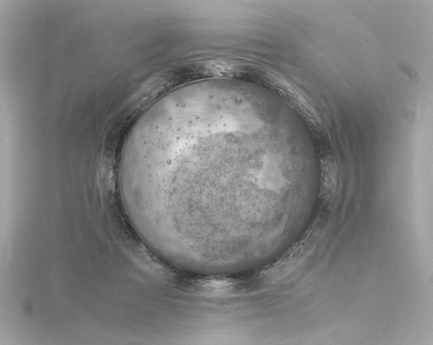 X0000116350313200912011416