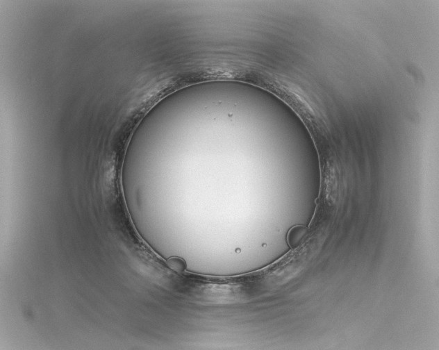 X0000116350314200912011416