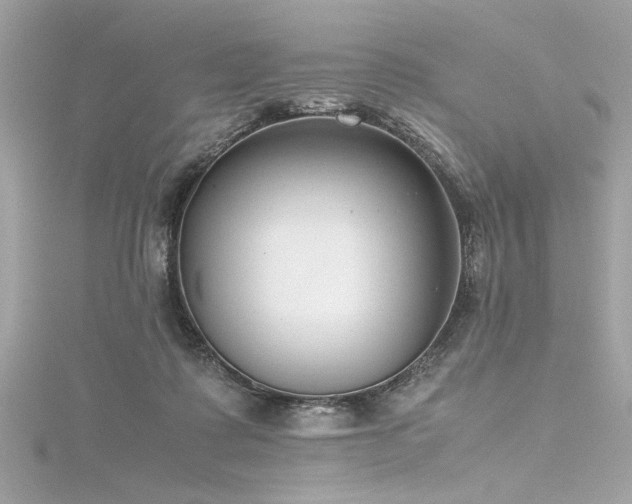 X0000116350315200912011416