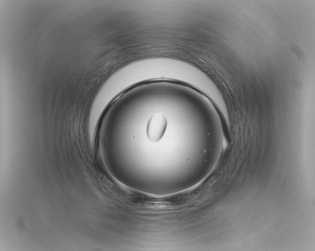 X0000116350316200912011416