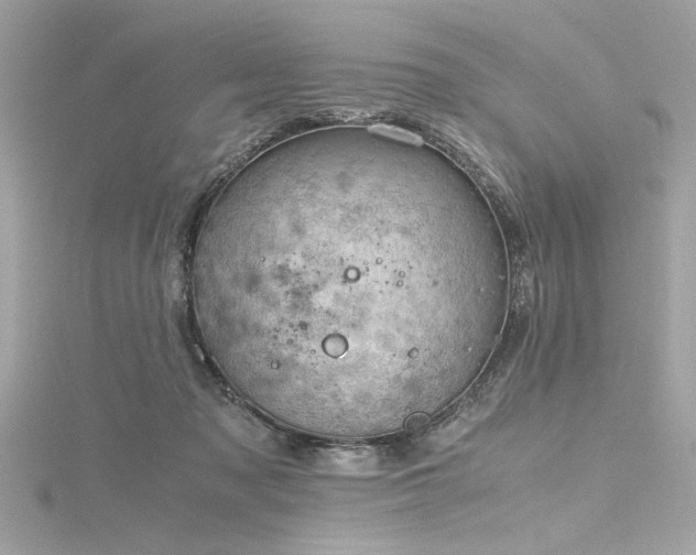 X0000116350317200912011416