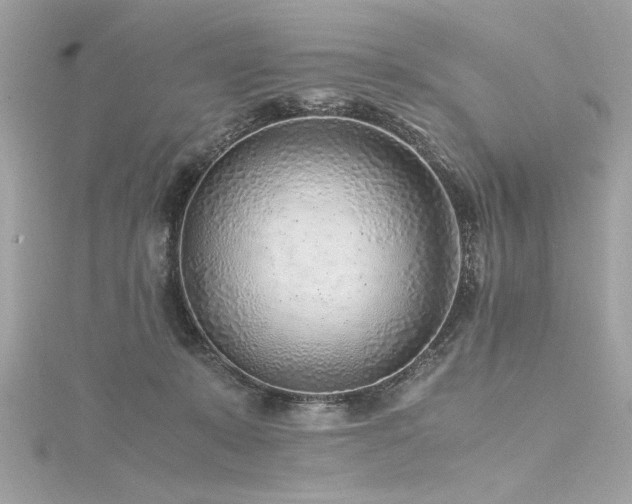 X0000116350319200912011416