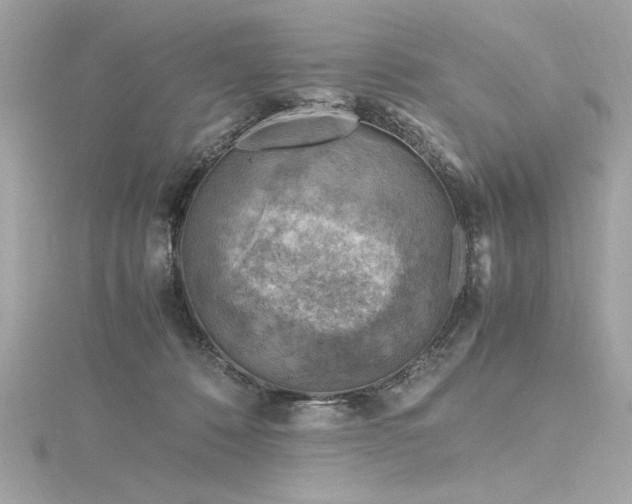 X0000116350320200912011416